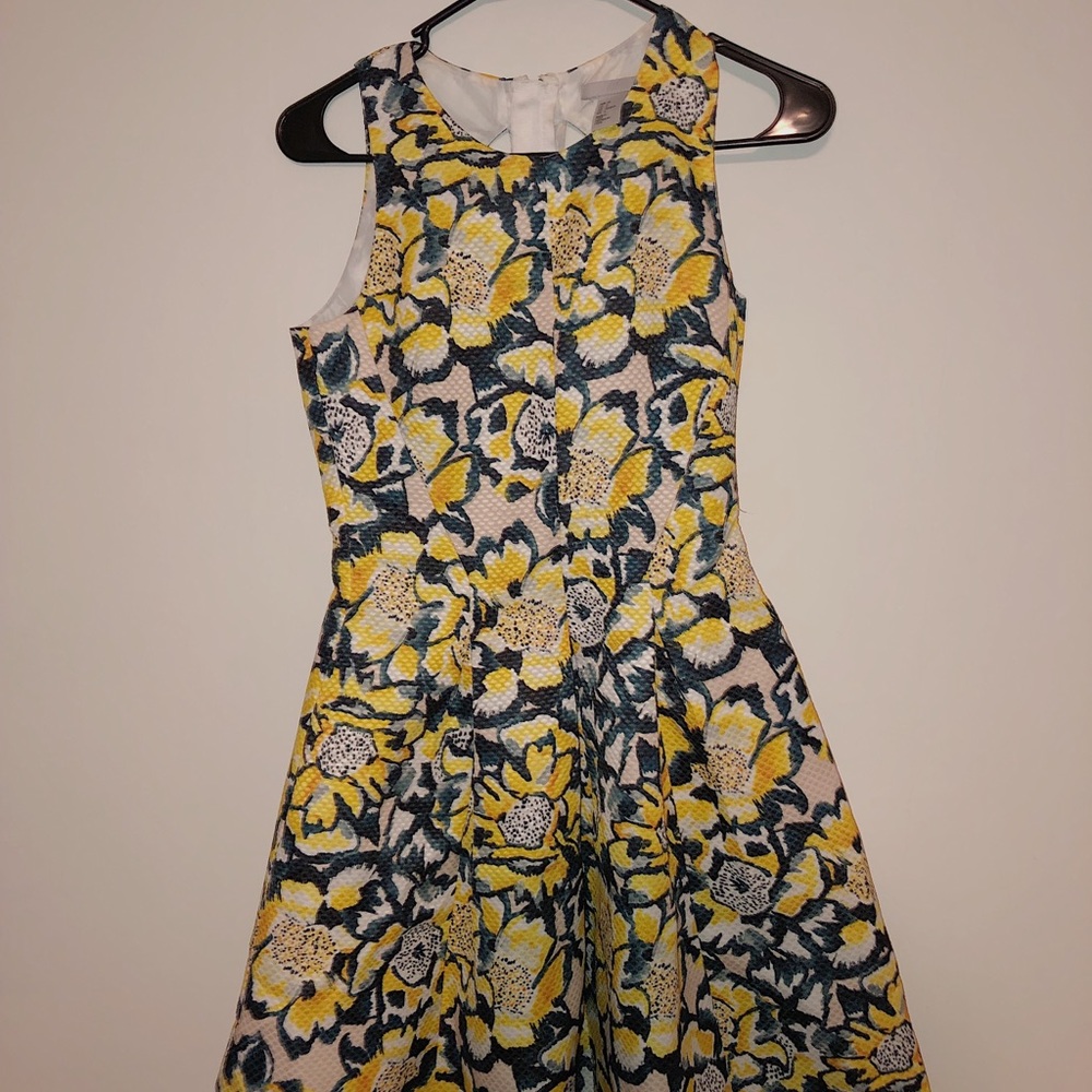 Fit and Flare H&M dress
